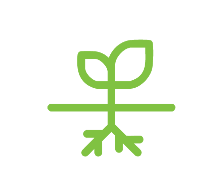 ICON_04